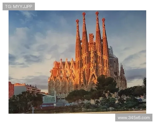 丹羽直播间：一场跨越时空的奇幻之旅